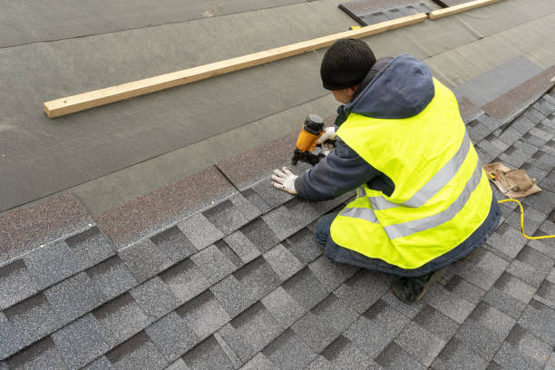 Best New Roof Installation  in Homer, AK