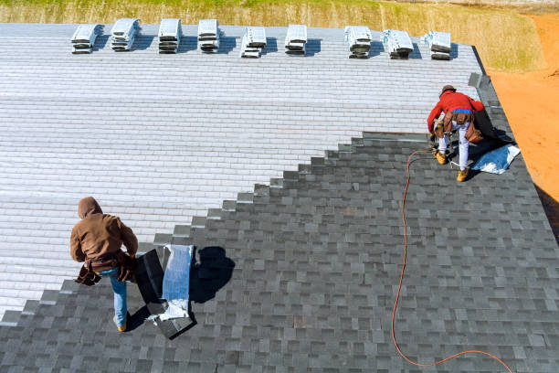 Best Roof Gutter Cleaning  in Homer, AK