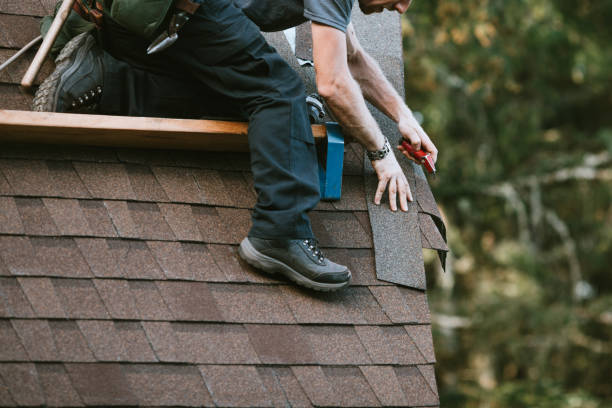 Best Shingle Roofing Installation  in Homer, AK
